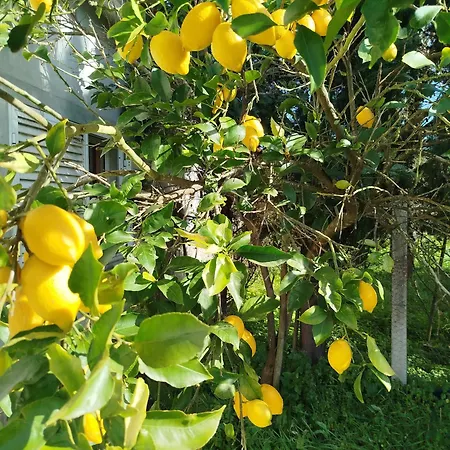 Cosy By L'arche De Jo アパート