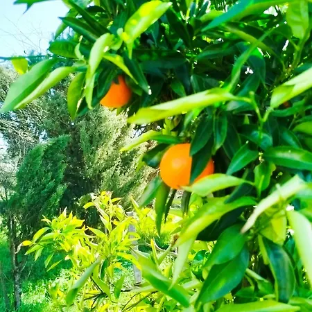 Apartment Cosy By L'arche De Jo Santana (Coimbra)