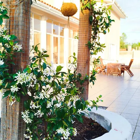 Cosy By L'arche De Jo * Santana (Coimbra)