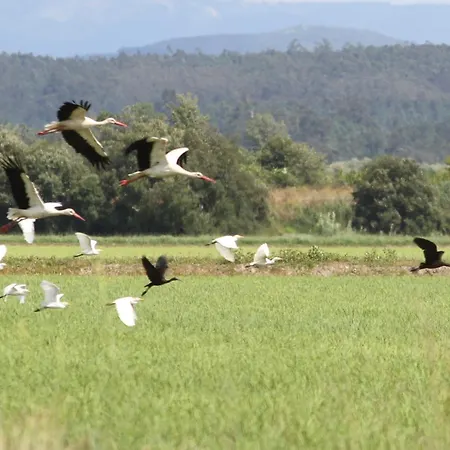 Cosy By L'arche De Jo アパート