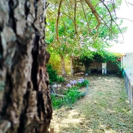 アパート Cosy By L'arche De Jo *