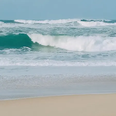 Cosy By L'arche De Jo *