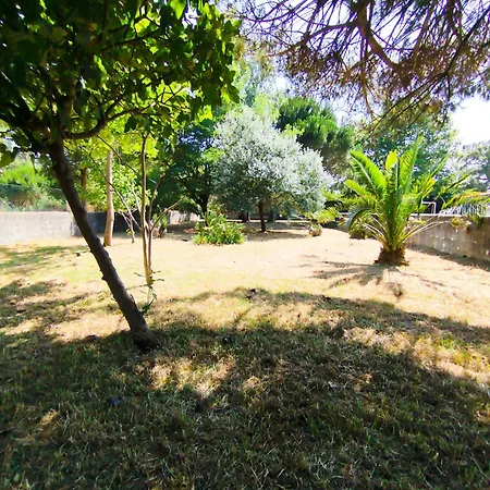 Cosy By L'arche De Jo Santana (Coimbra)