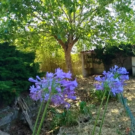 Cosy By L'arche De Jo Santana (Coimbra)