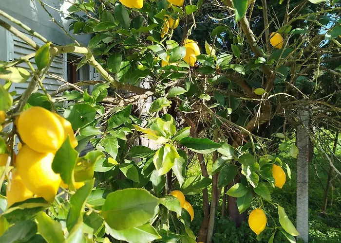 Cosy By L'arche De Jo דירה