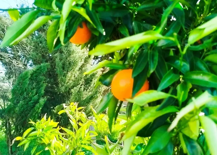 דירה Cosy By L'arche De Jo Santana (Coimbra)