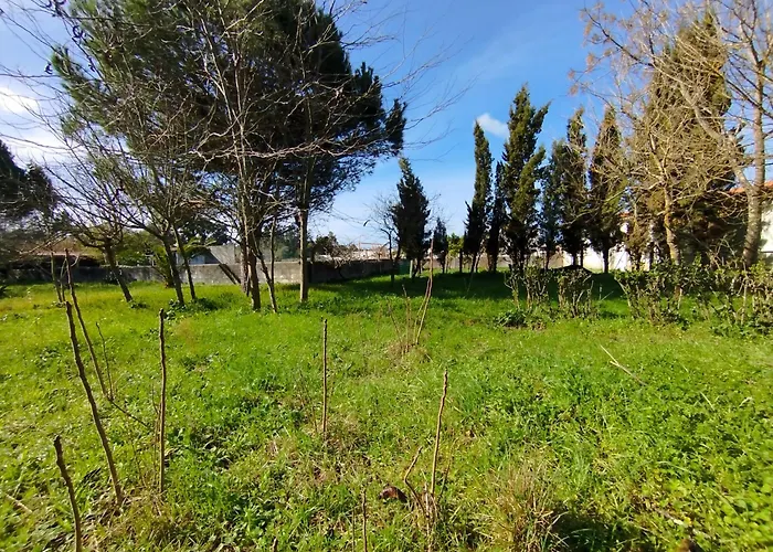 Cosy By L'arche De Jo דירה Santana (Coimbra)