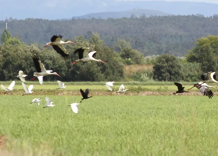 Cosy By L'arche De Jo דירה