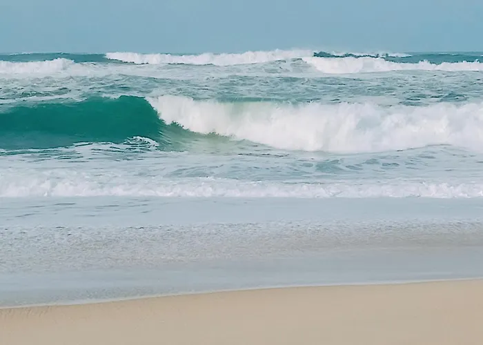 Cosy By L'arche De Jo *