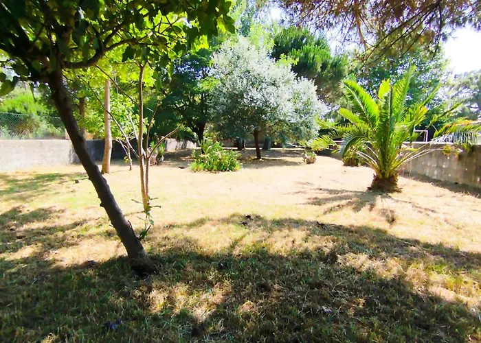 Cosy By L'arche De Jo Santana (Coimbra)