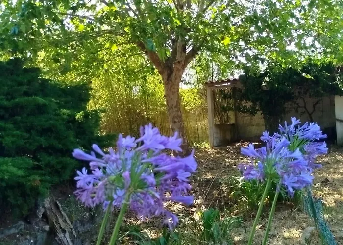 Cosy By L'arche De Jo Santana (Coimbra)